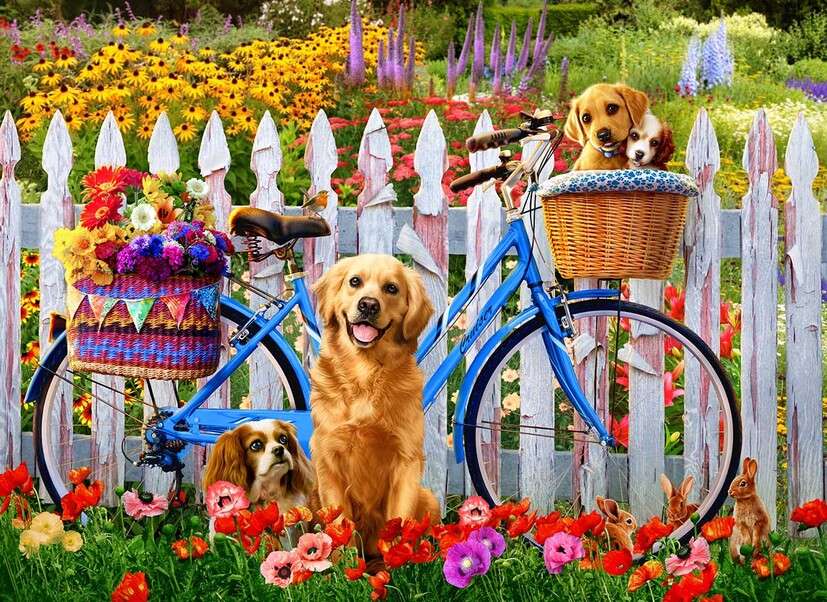 Psy obok roweru z kwiatami #2 puzzle online