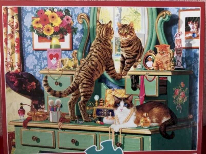 Kotek patrzący w lustro puzzle online