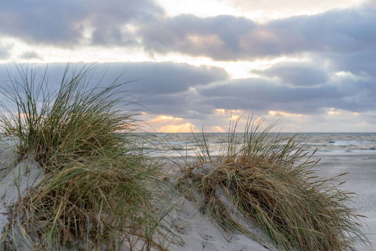 na plaży nad Morzem Bałtyckim puzzle online
