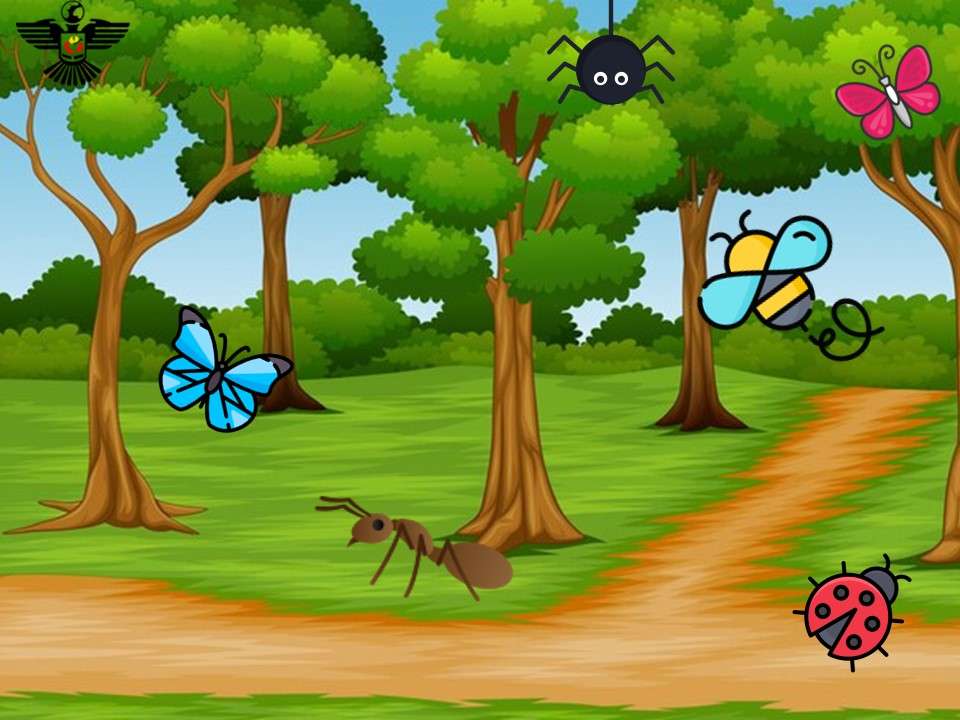 insect puzzle puzzle online
