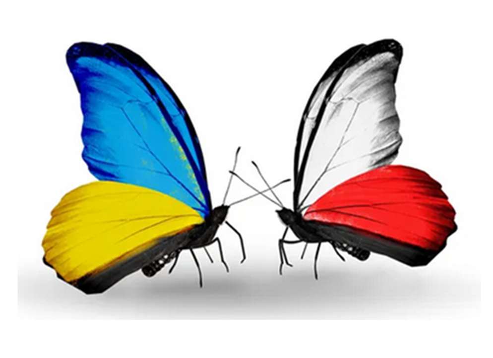 Motylki polskie i ukraińskie puzzle online