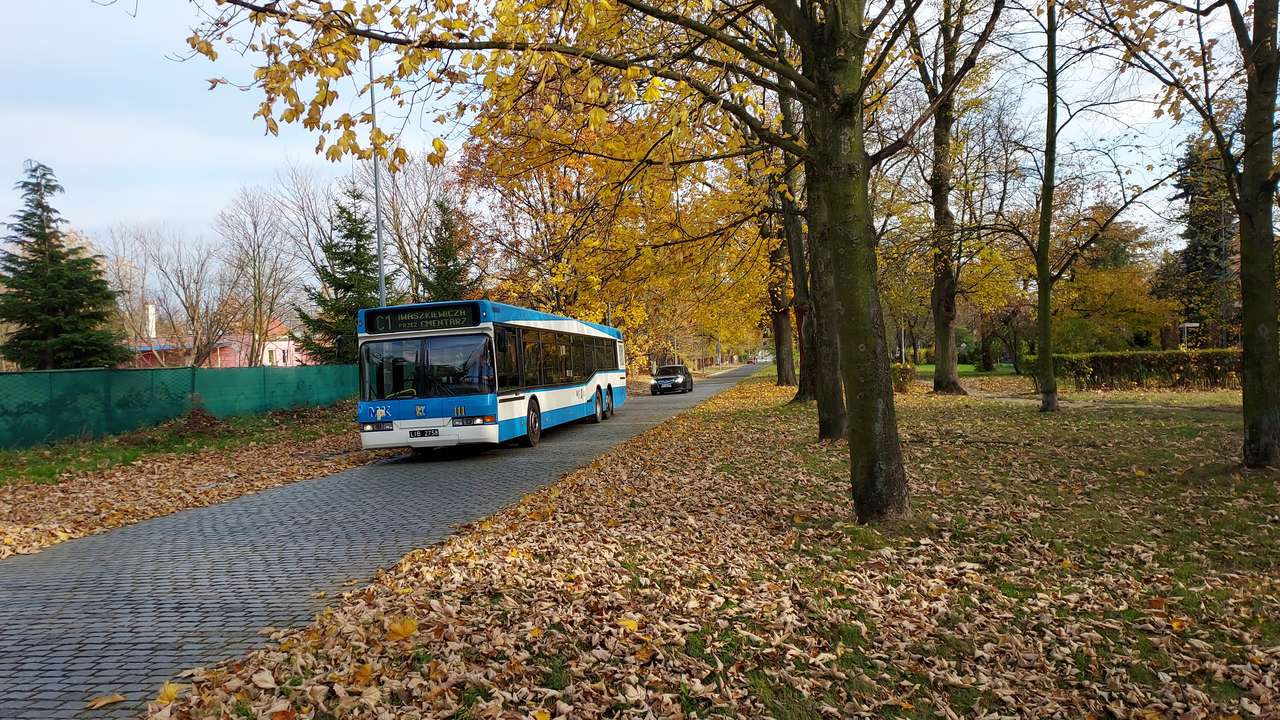 Legnica, 1.11.2021 Neoplan N4020td #111 puzzle online