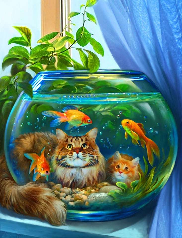 koty patrzące na akwarium puzzle online