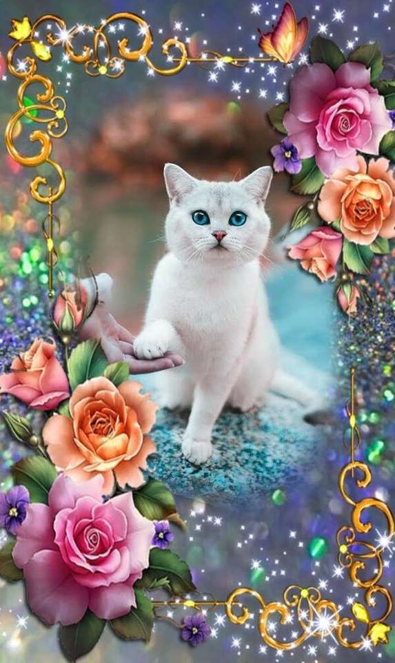 piękny niebieskooki kociak puzzle online