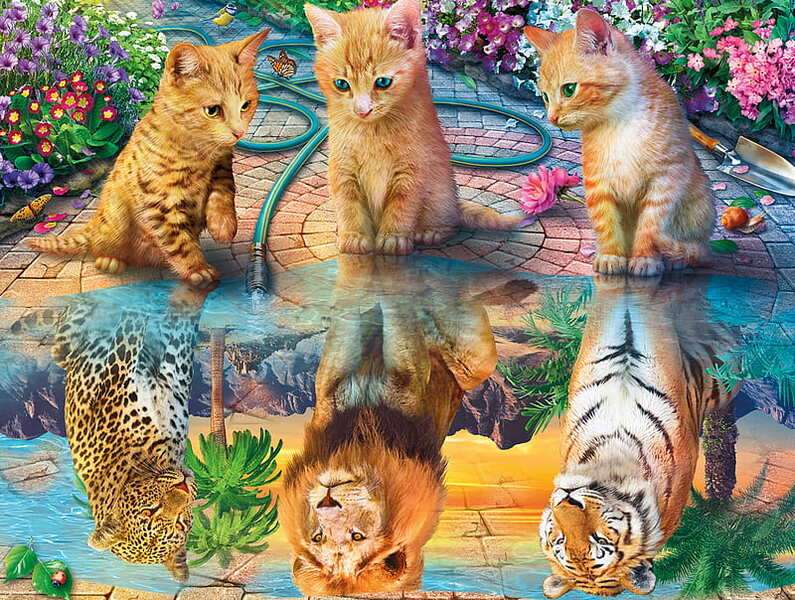 Kocięta patrzą na odbicie w wodzie puzzle online