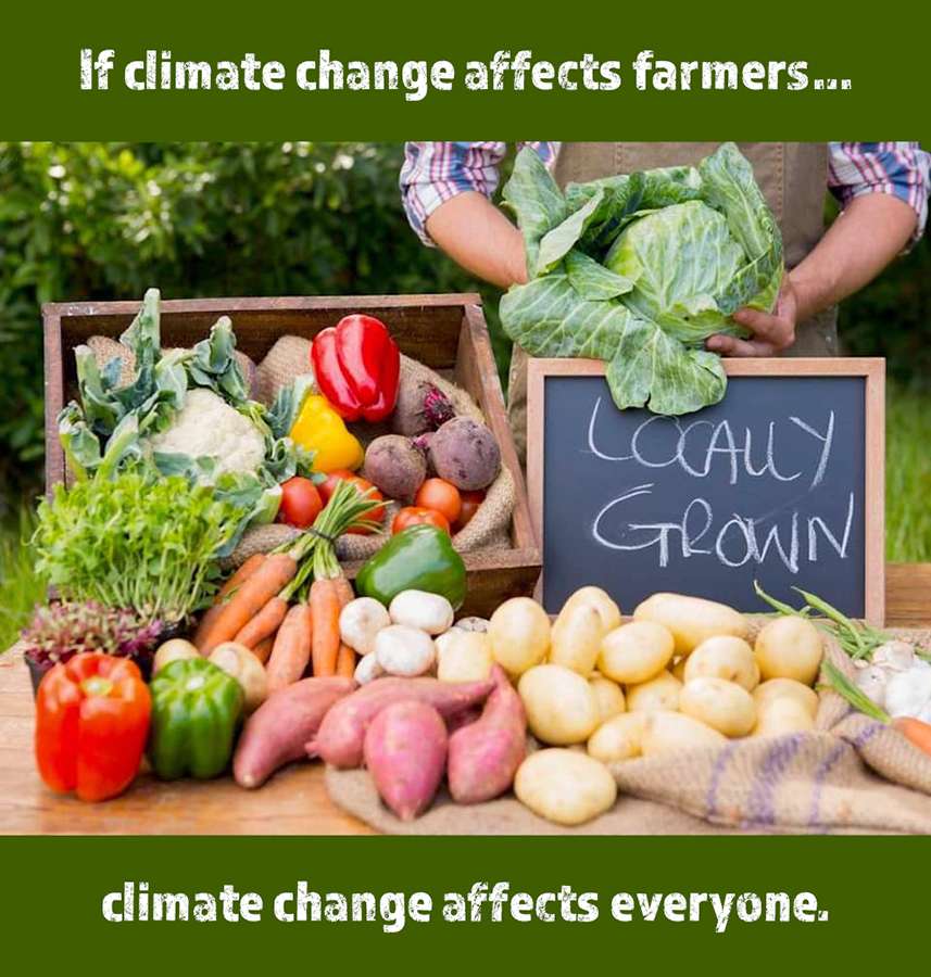 Zmiana klimatu Rolnictwo puzzle online
