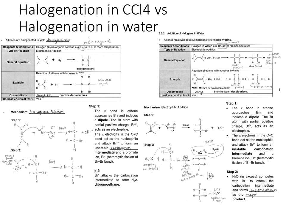 Reakcja alkenowa aq vs ccl4 DeerChemistry puzzle online