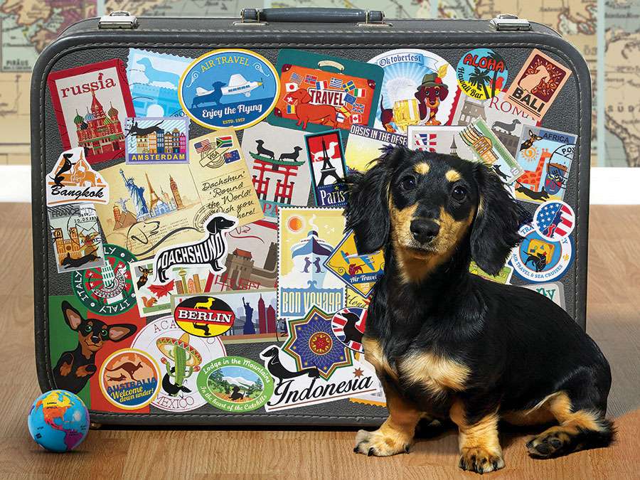 pies podróżujący puzzle online