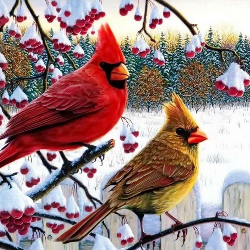 Ptaki kardynały na gałęzi puzzle online