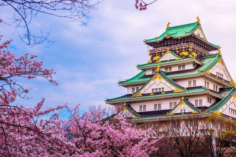 Zamek Osaka w Japonii #2 puzzle