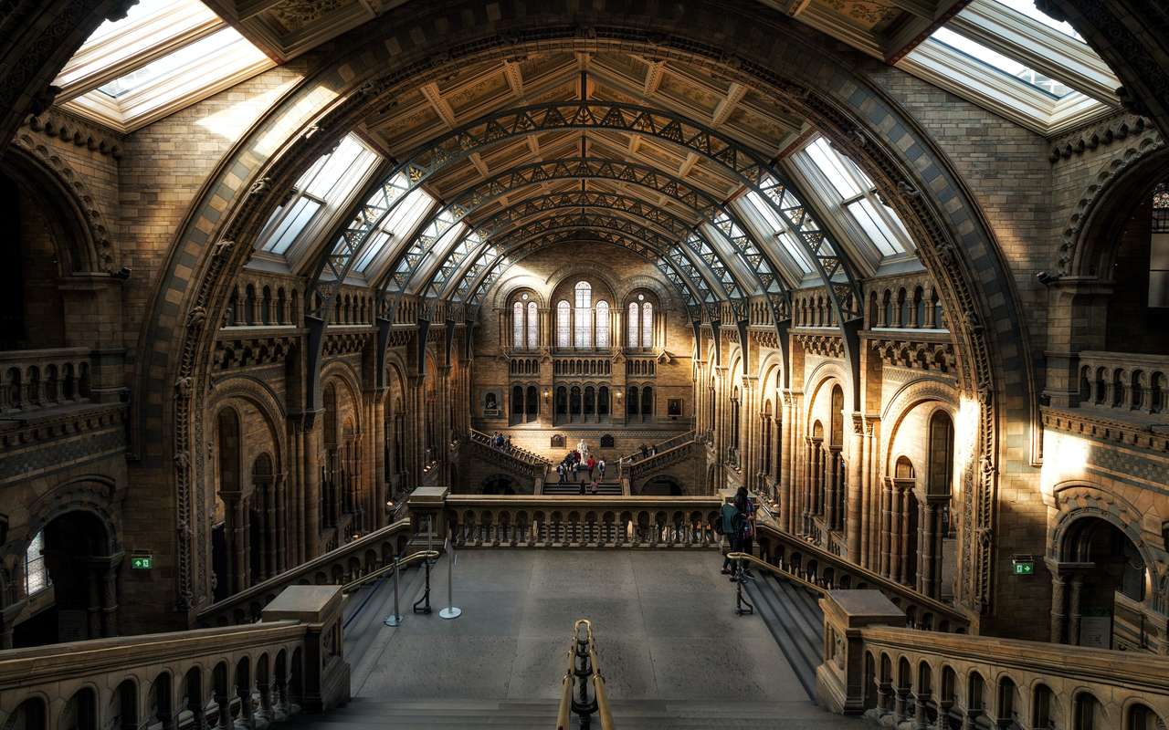 Muzeum Historii Naturalnej, Londyn puzzle online