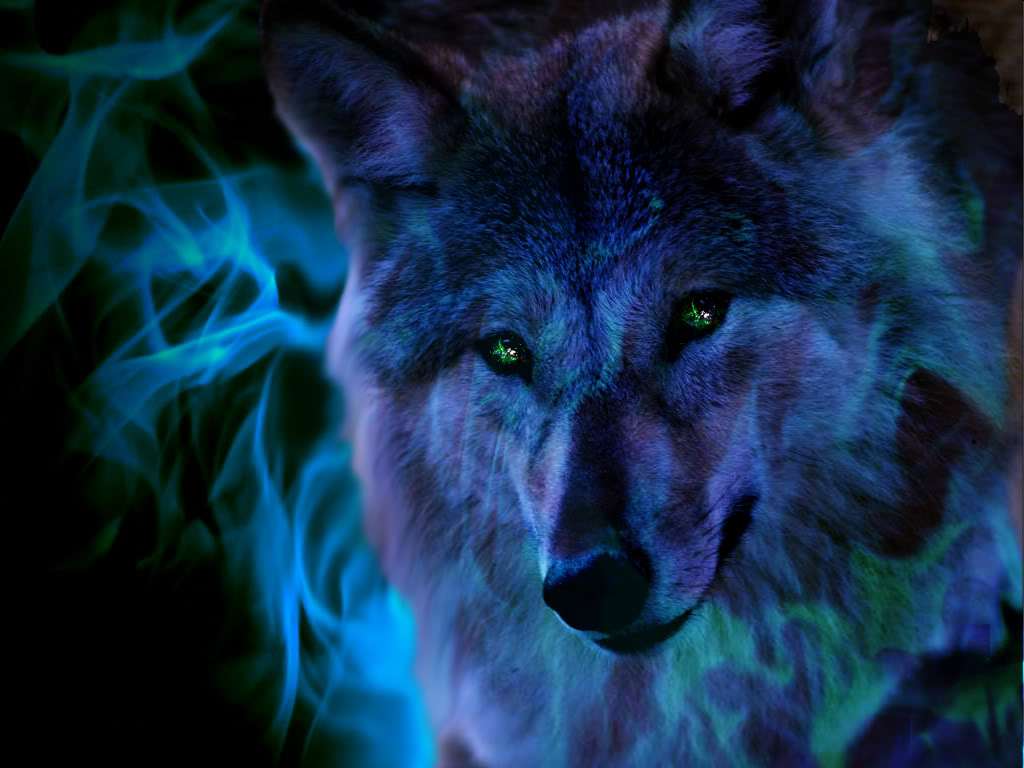 wilk w nocy puzzle online