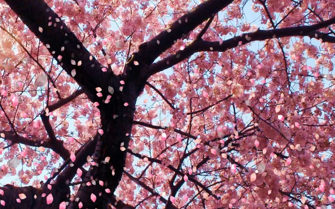 drzewo kwiatowe puzzle online