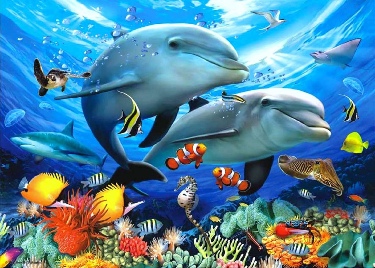 Świat delfinów puzzle online