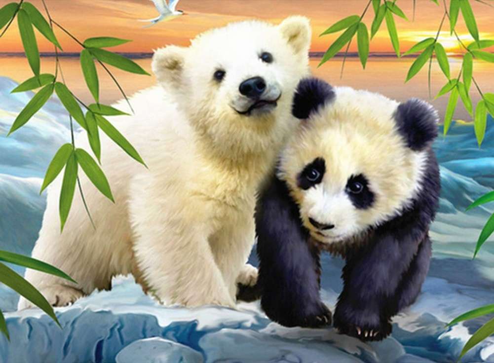 miś panda i niedźwiedź polarny puzzle online