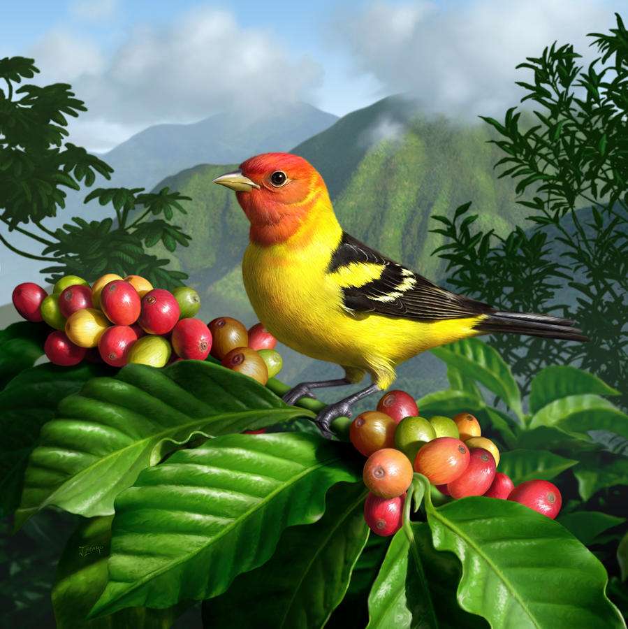 kolorowy ptak z jagodami puzzle online