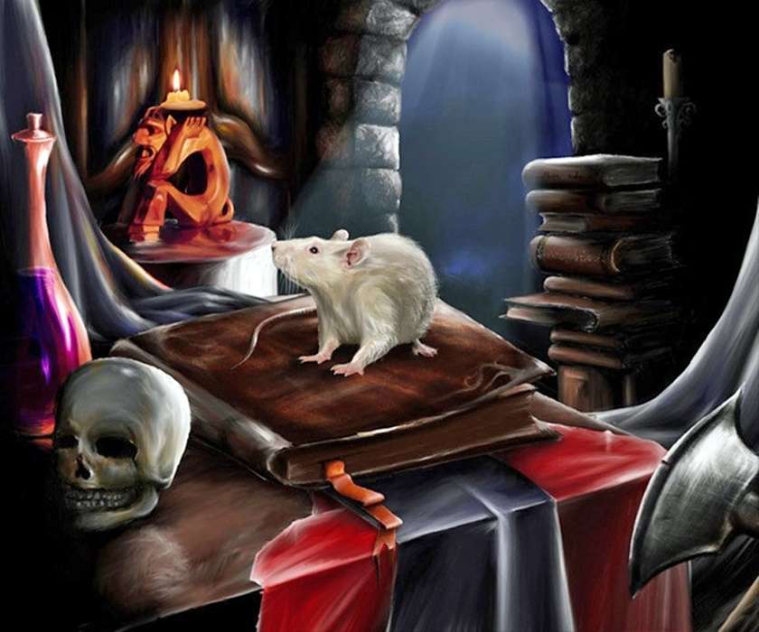 biały szczur na księdze puzzle online