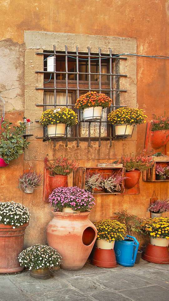 Kwiaty doniczkowe przed domem- Włochy puzzle online