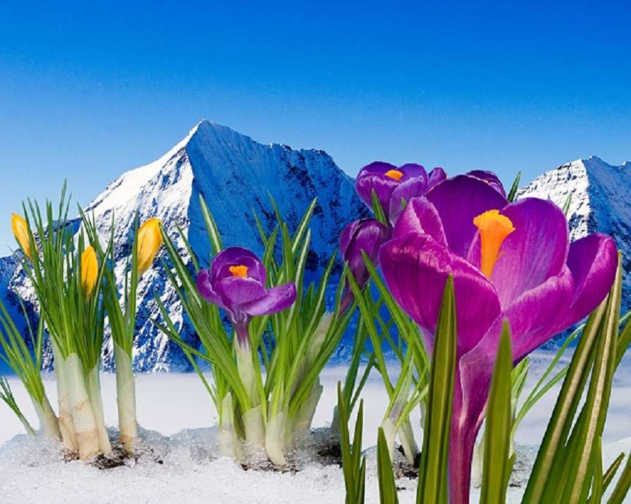 Wiosna w górach. puzzle online