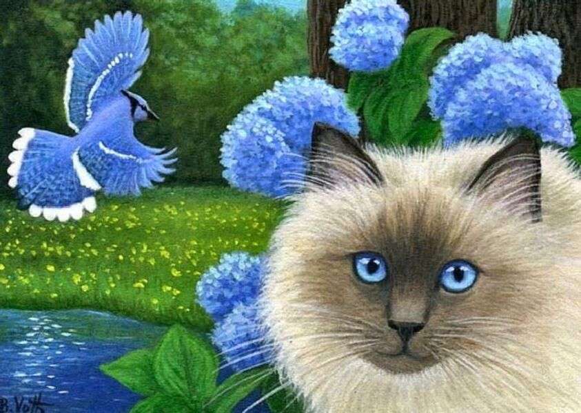 Piękny kotek o niebieskich oczach #59 puzzle online