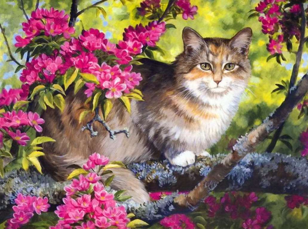 Kot na kwitnącym drzewie puzzle online
