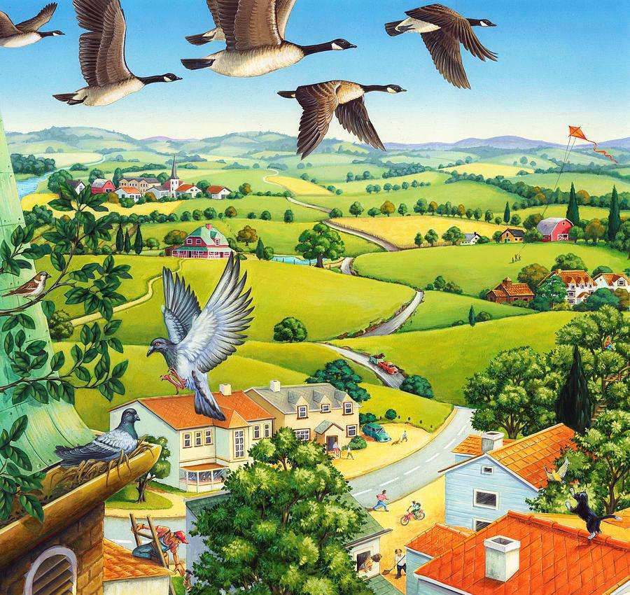 kaczki latające nad domami puzzle online