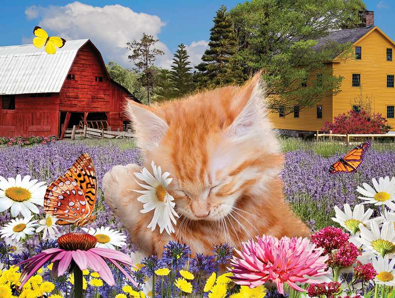 Kotek śpi w kwiatach #78 puzzle online