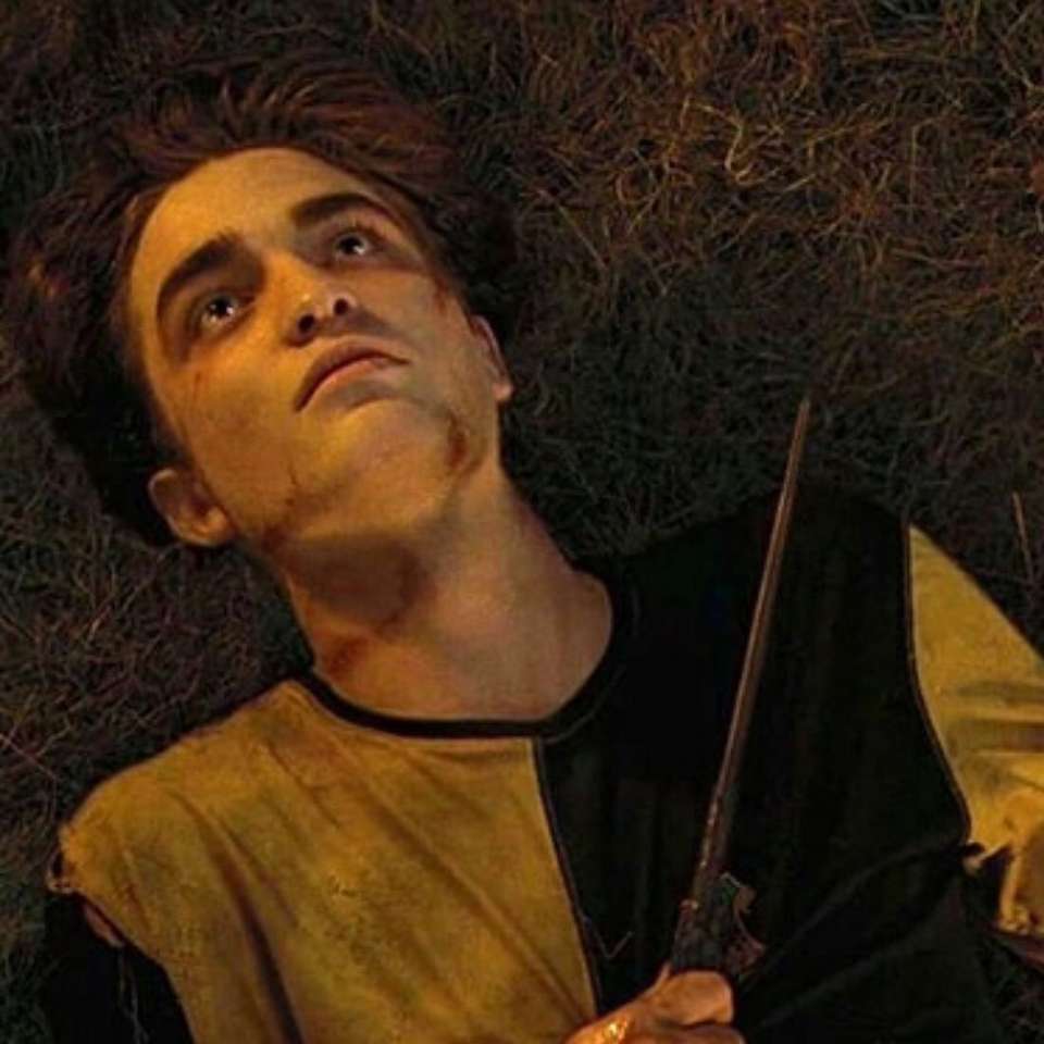 cedric diggory puzzle online