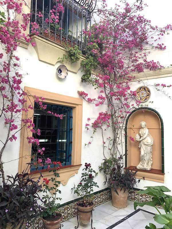 Arbusto de buganvillas en Córdoba - Puzzle Factory