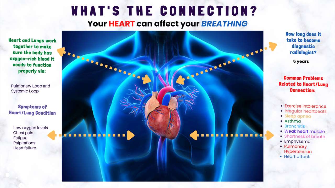 Aorta mówi ci, jak bardzo cię kocham, bo my Be-Lung puzzle online