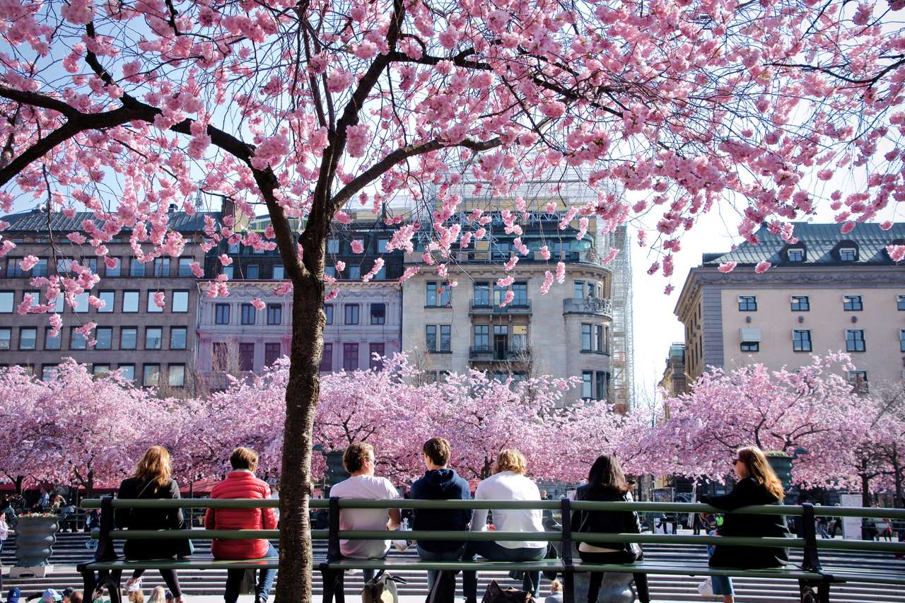 Centrum Sztokholmu na wiosnę puzzle online