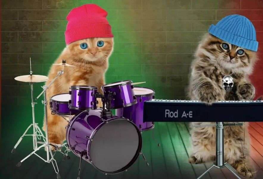 Drummer Kitty #102 puzzel