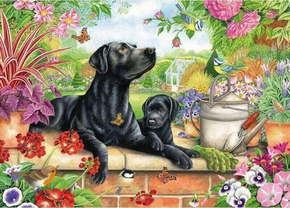 czarne labrador retrievery puzzle online