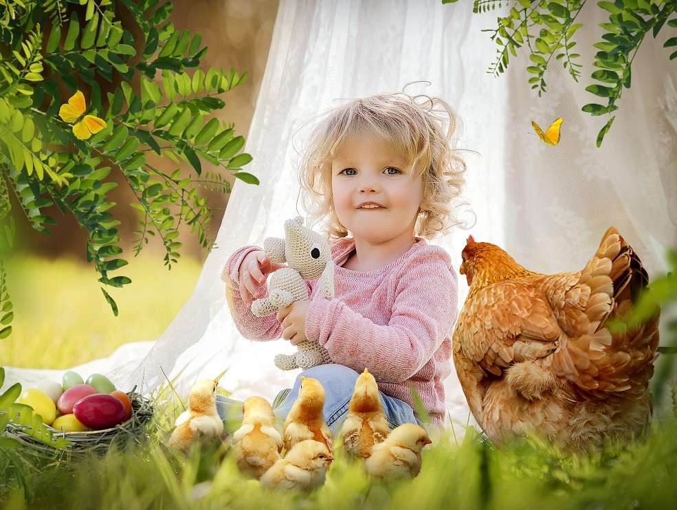 Kura, kurczaki, małe dziecko puzzle online