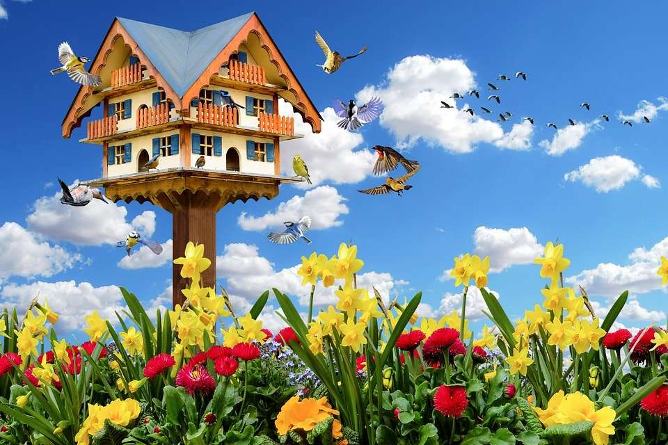 Kolorowa wiosna. puzzle online