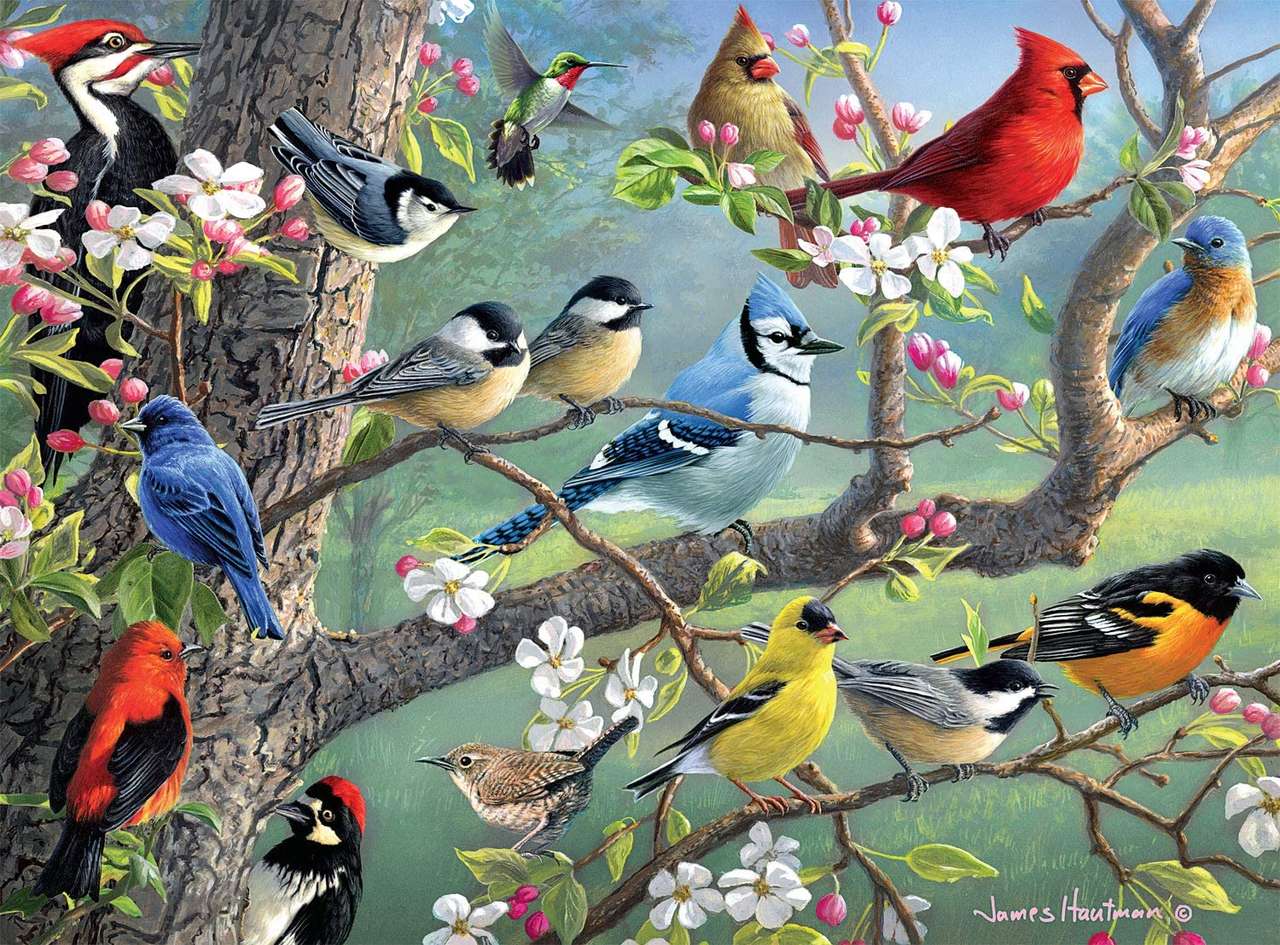 Ptaki ogrodowe puzzle online