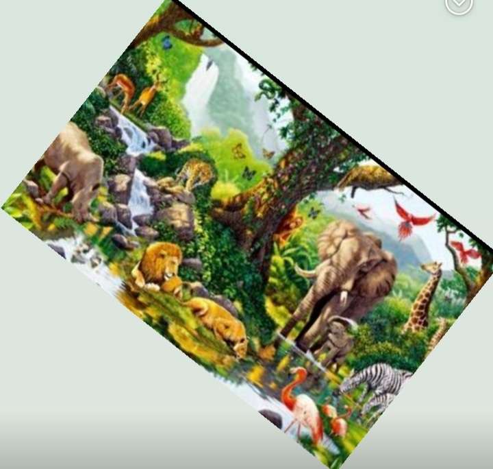 zwierzęta puzzle online