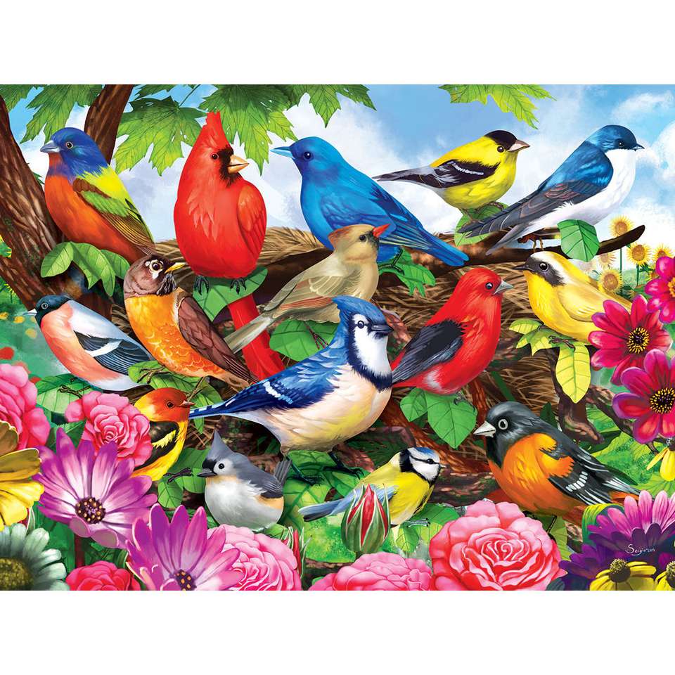 Ptaki Ameryki puzzle online