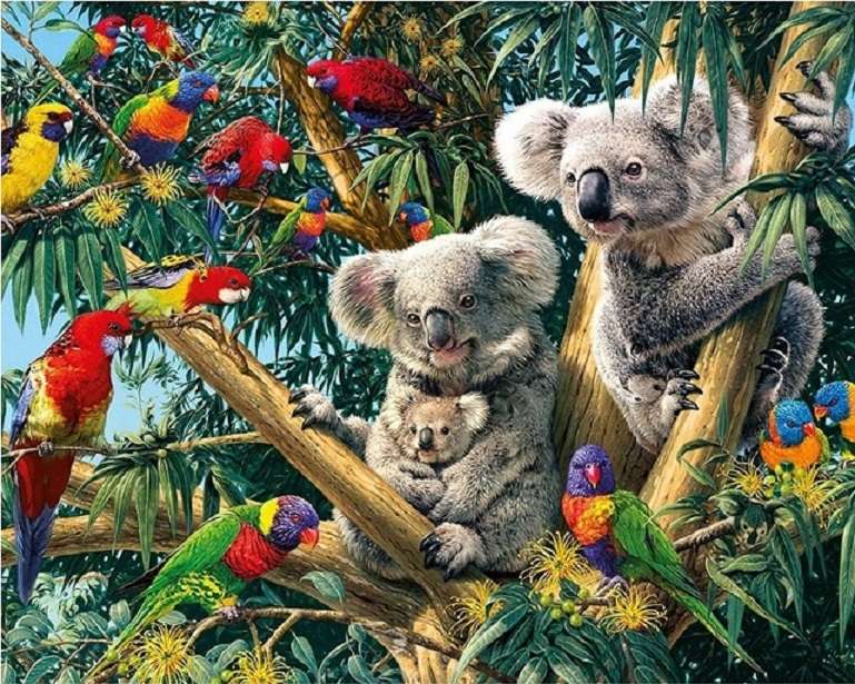 Papugi i koala. puzzle online