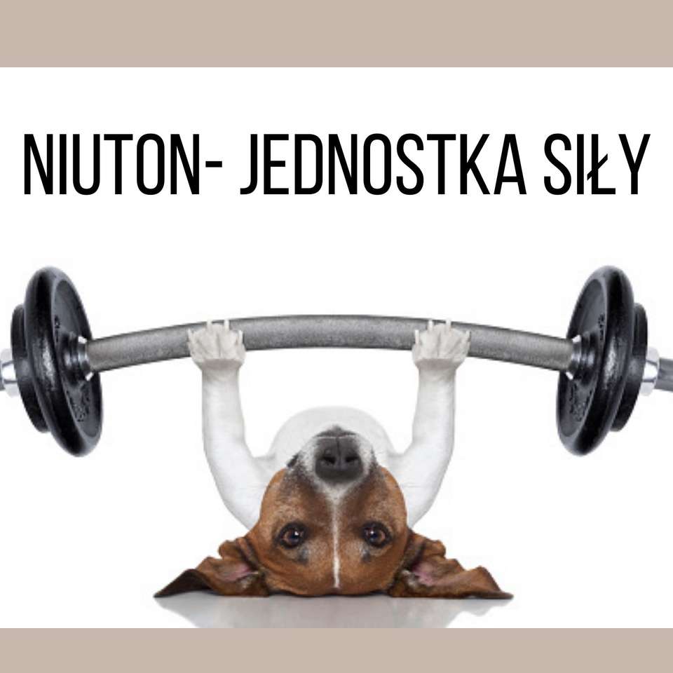 Jednostka siły puzzle online