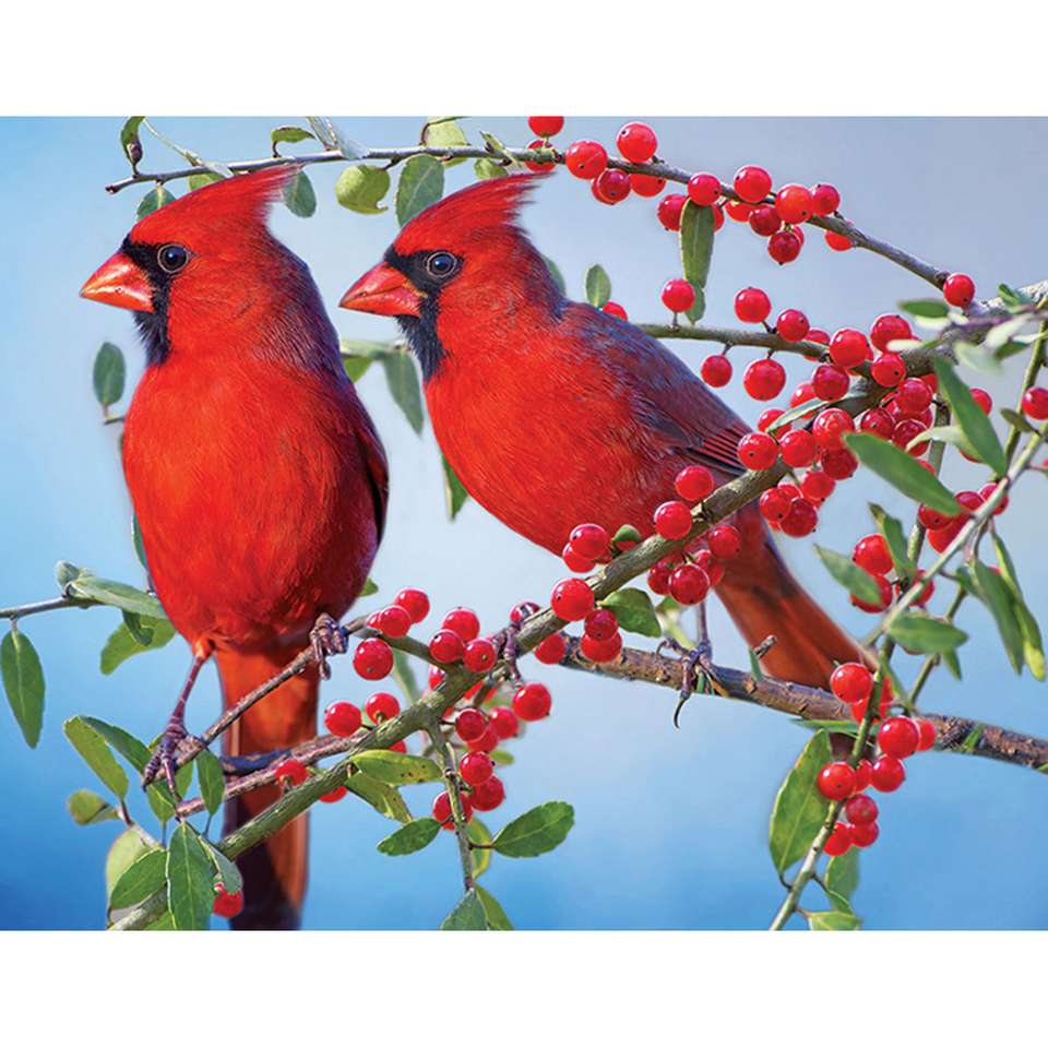 DOŚĆ Czerwone Ptaki puzzle online