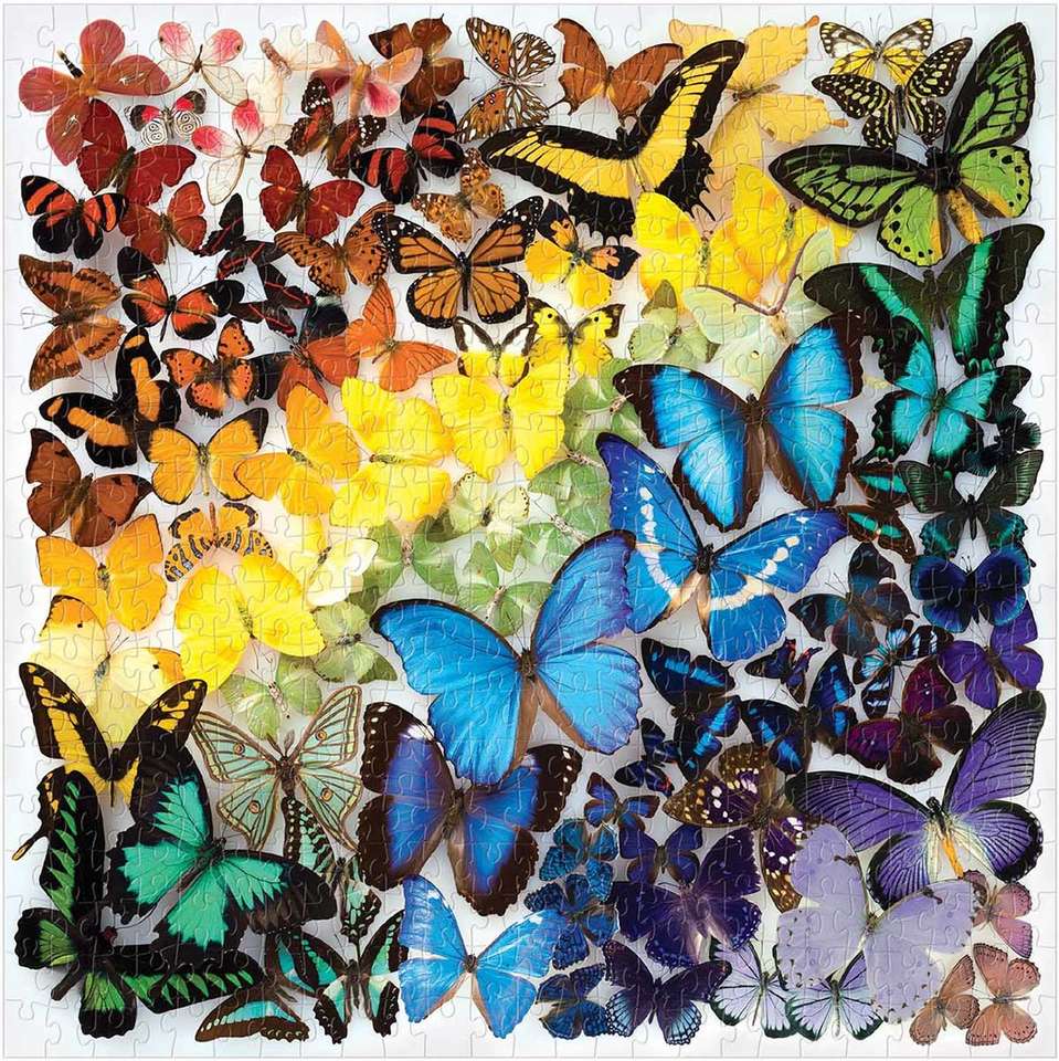 tęczowe motyle puzzle online
