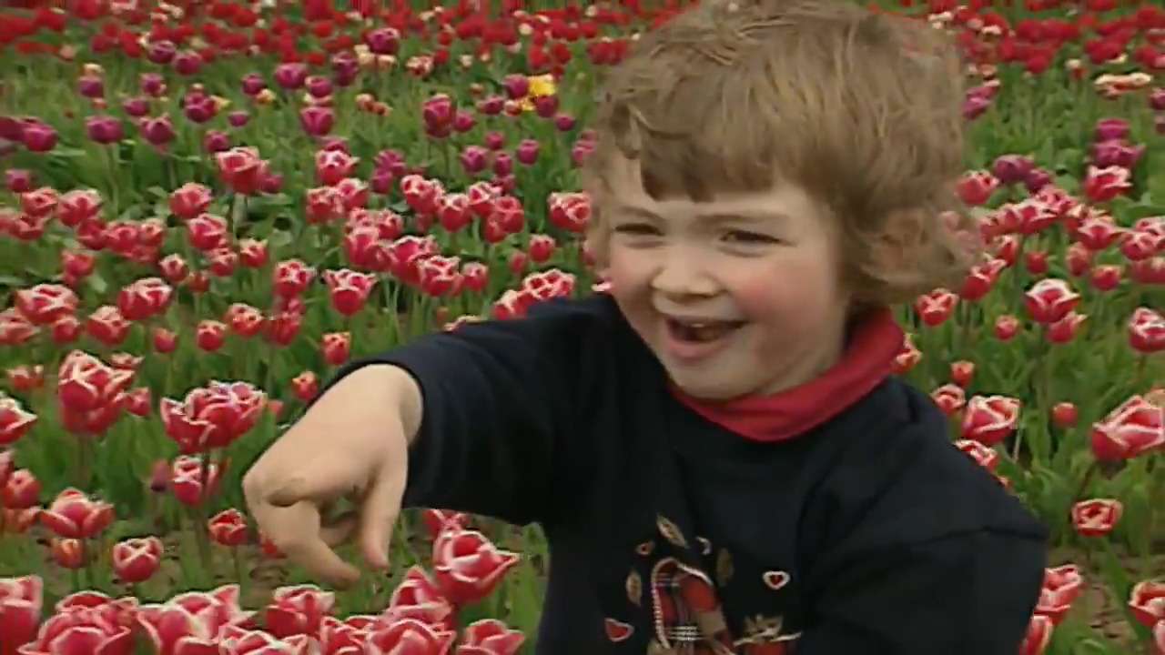 Dziewczynka koło tulipanów puzzle online