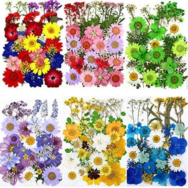 zestaw suchych kwiatów puzzle online