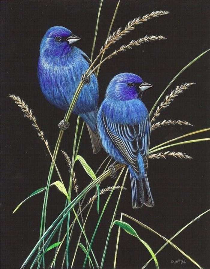 dwa niebieskie ptaki puzzle online