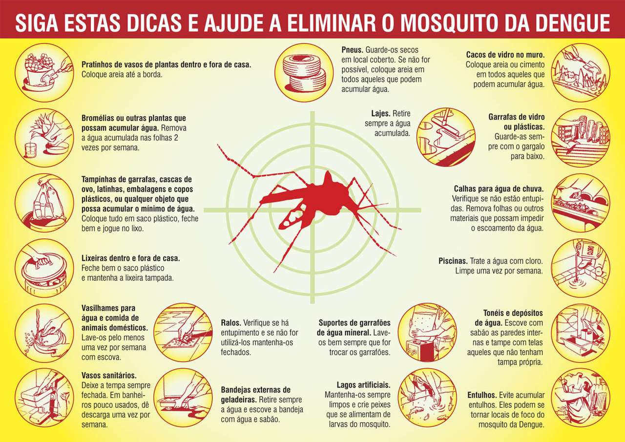 Jak wyeliminować epidemie dengi? puzzle online