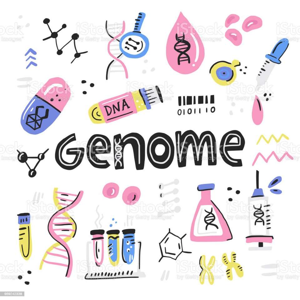 Mówiąc o ludzkim genomie puzzle online
