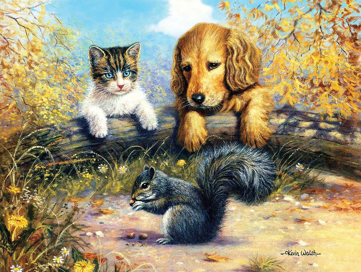 pies i kot obserwujący wiewiórkę puzzle online