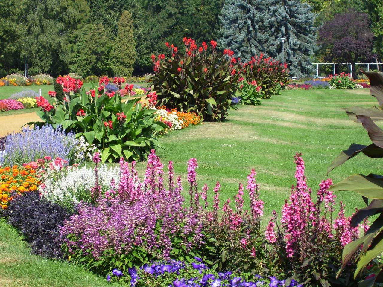 Ogród kwiatowy w wielu kolorach puzzle online