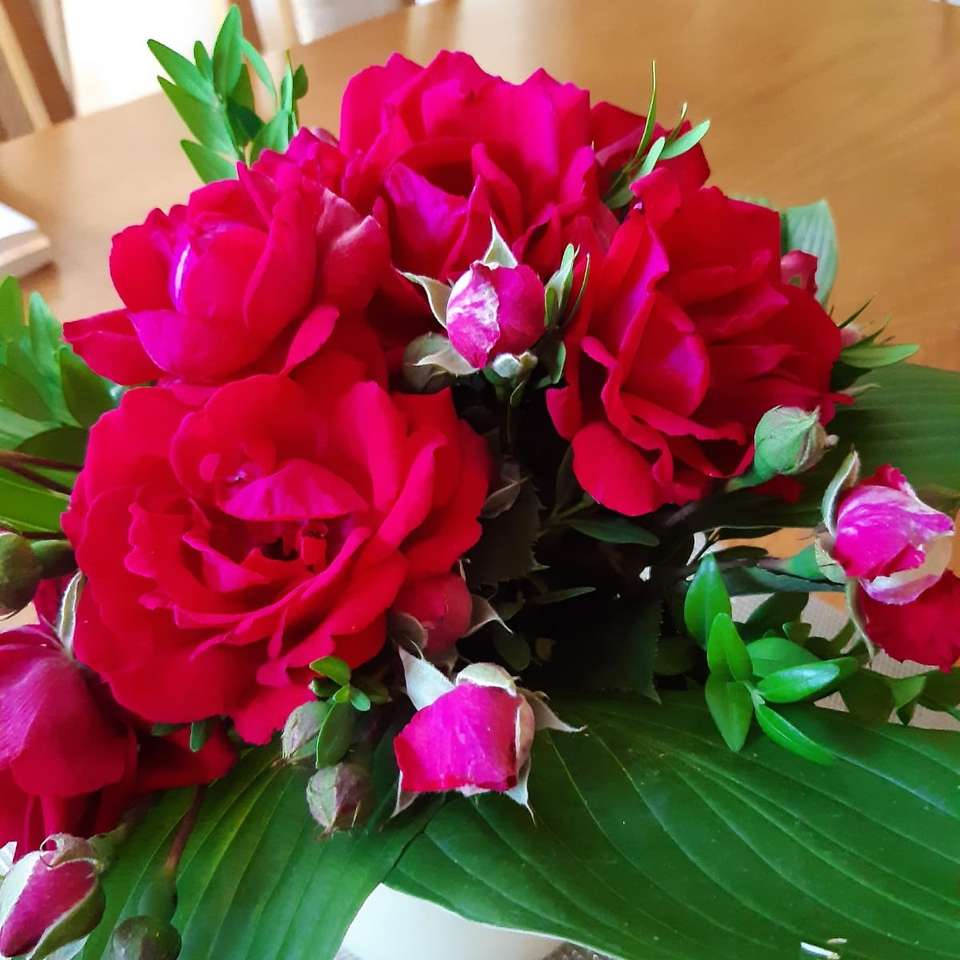 bardzo czerwone piękne kwiaty puzzle online